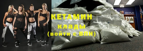 шишки Верея