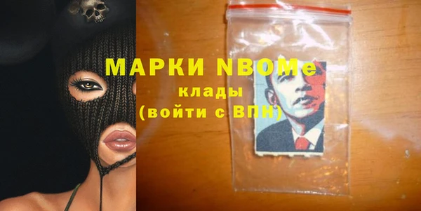 шишки Верея