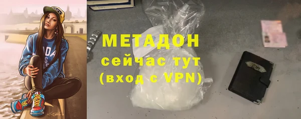 шишки Верея