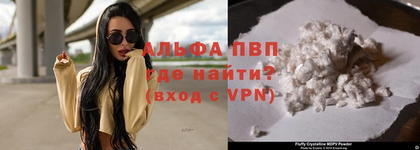 шишки Верея