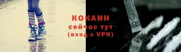 шишки Верея