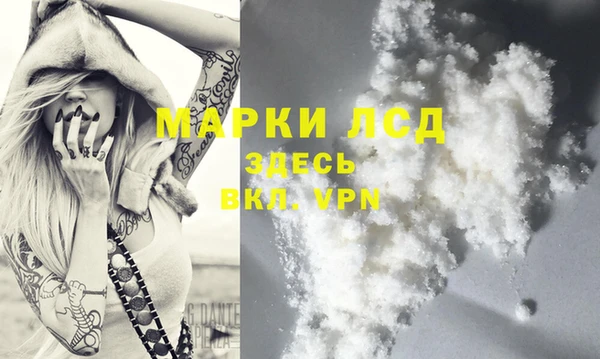 шишки Верея