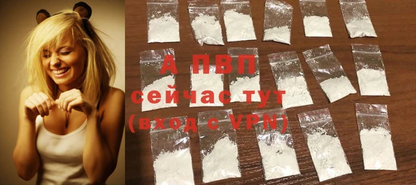 шишки Верея