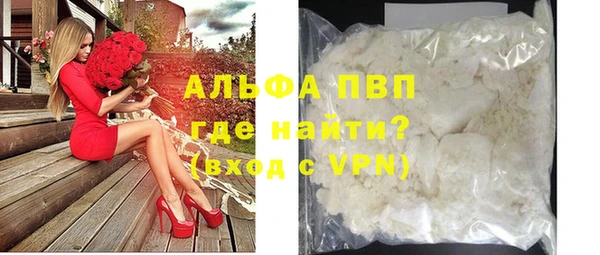 шишки Верея