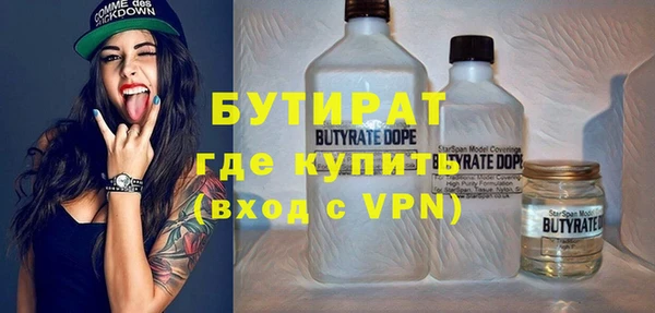 шишки Верея