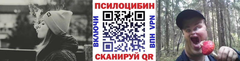 Галлюциногенные грибы мухоморы  Сыктывкар 